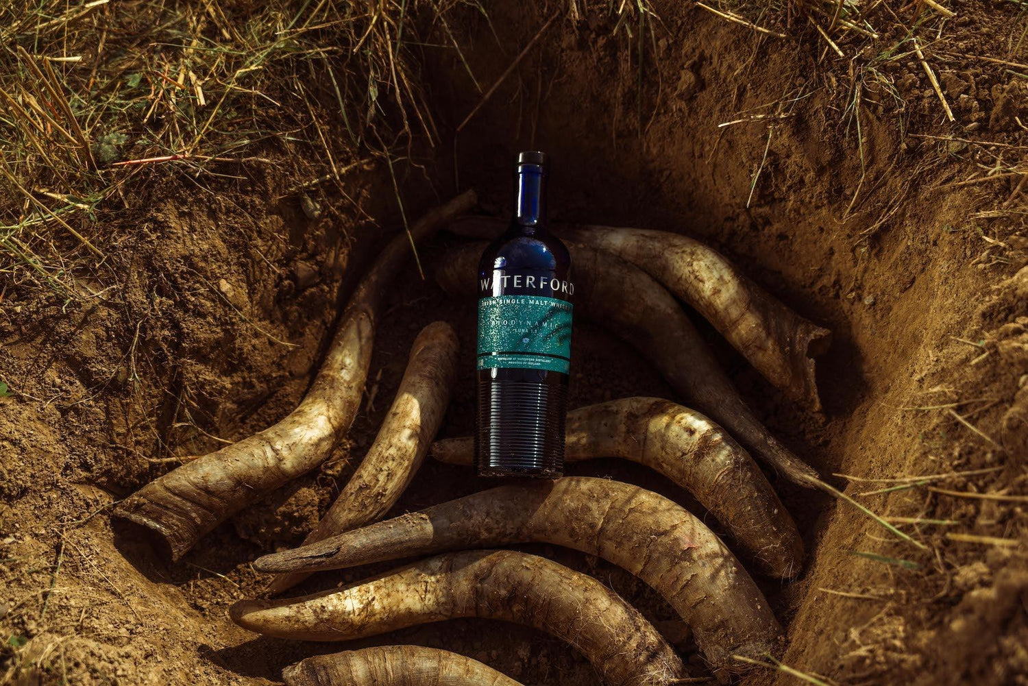 Waterford bottles world’s first biodynamic Irish whiskey – DrinksHero